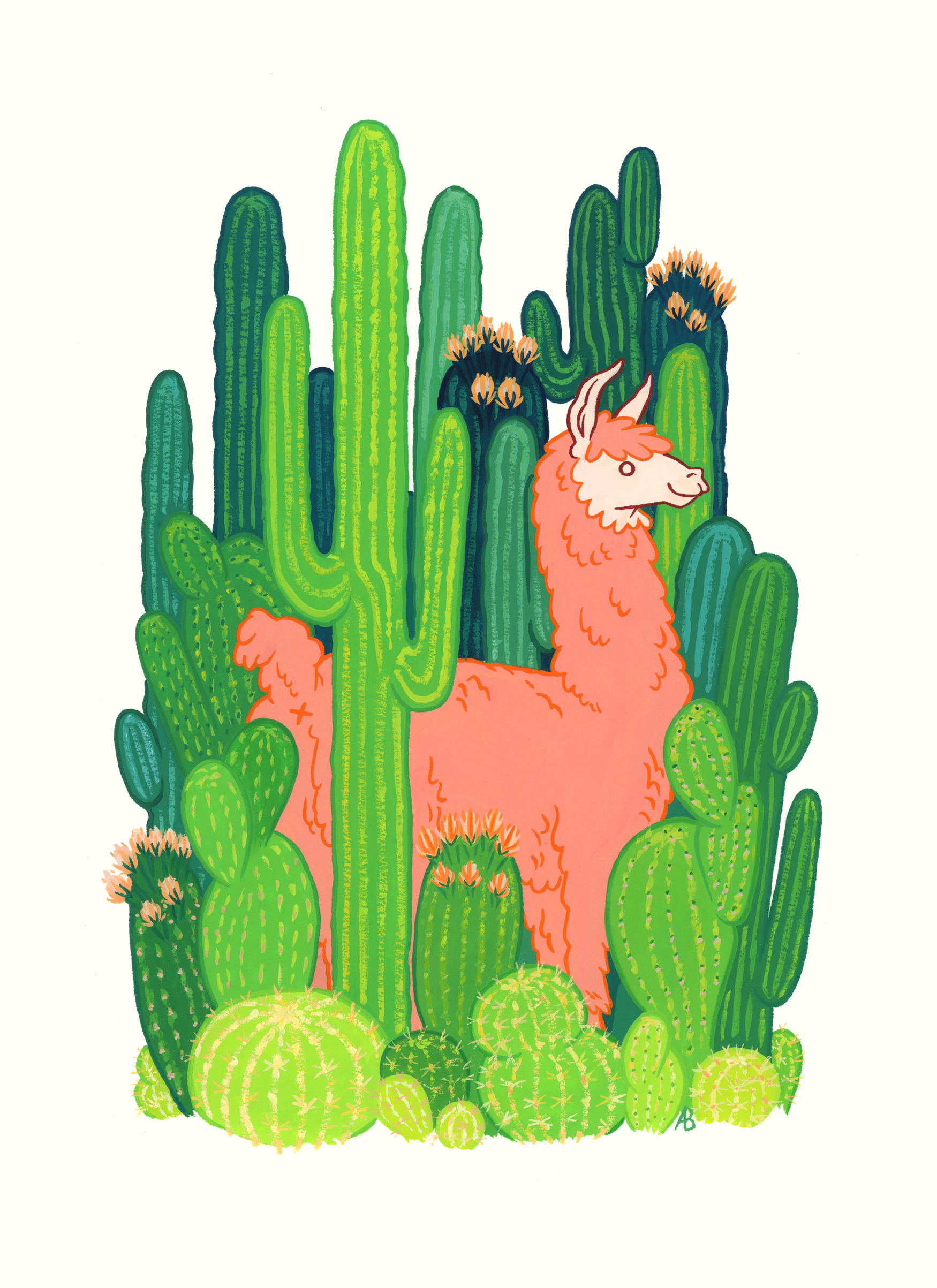 cactus-island